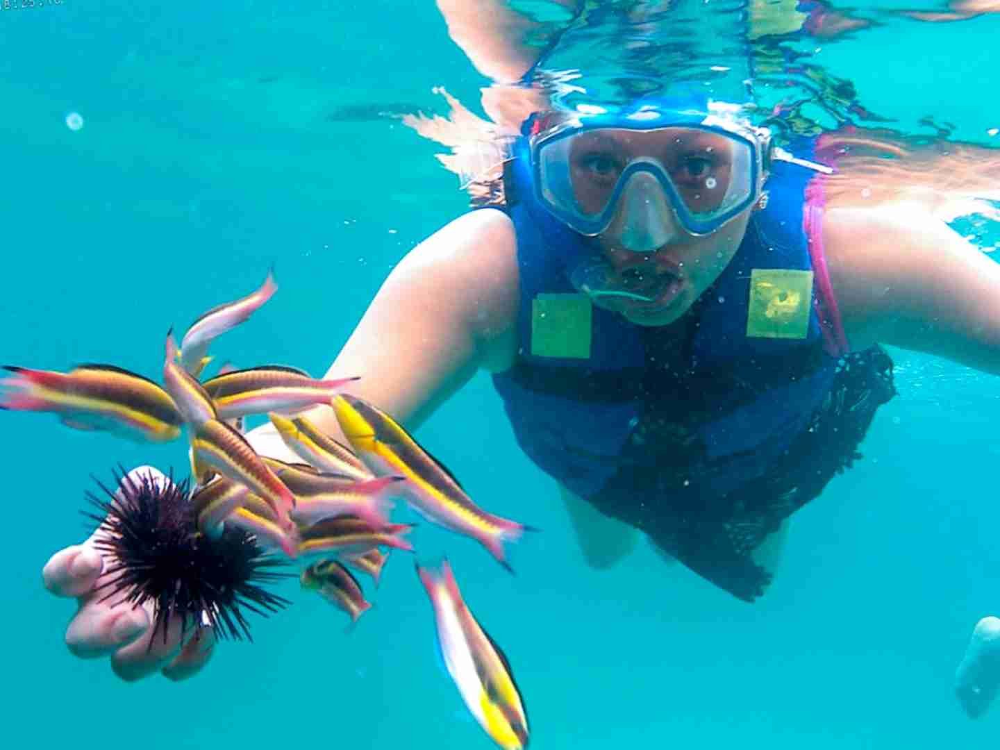 Traditional Tour + Snorkel